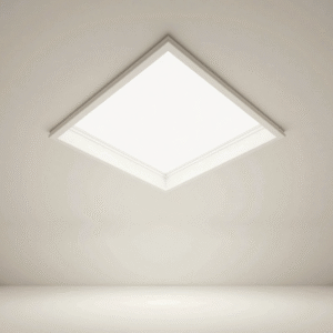 Ceiling Panel
