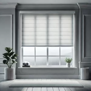 Window Blinds