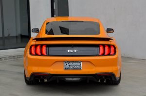 Back View