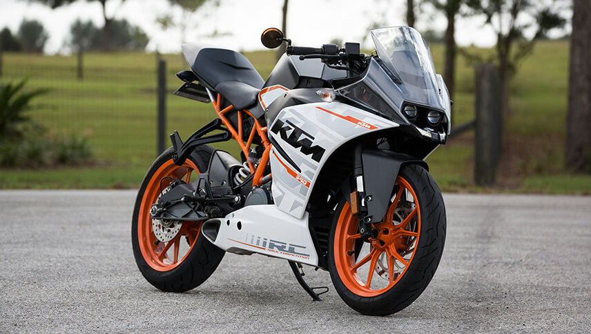 Ride Fast, Live Free, Ninja Spirit Unleashed