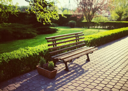 How To Care For Home Out Doors Flower Garden