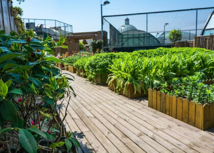 Lawn & Landscape Garden Maintenance Out Doors home