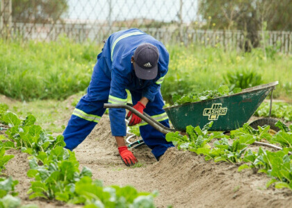 Best Landscape Farming Certification