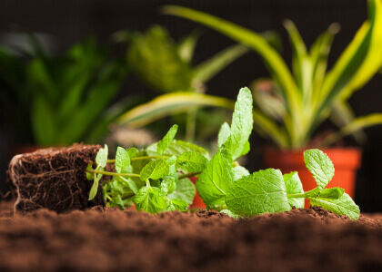 Best Landscape Farming Certification