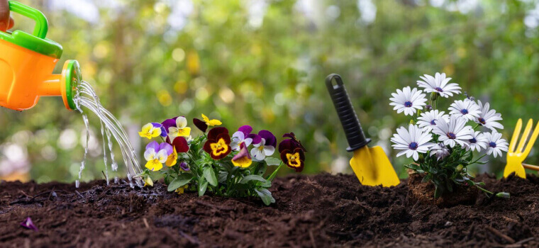 Lawn Season Extenders & Tree Plantation