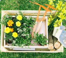 Garden Design