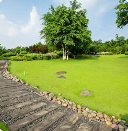 Lawn care