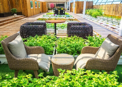 Garden Design