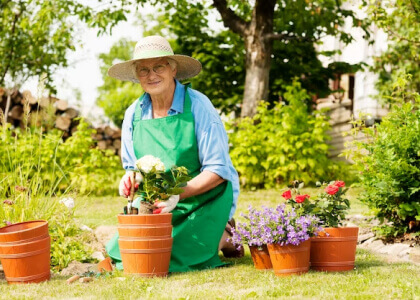 Lawn care