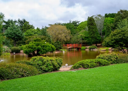 Natural Garden
