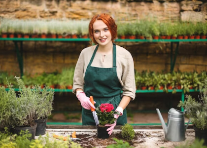 Spring & Fall Cleanup