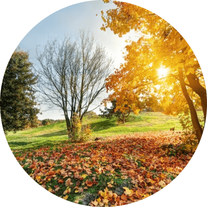 Spring & Fall Cleanup