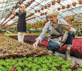 Seeds Farms