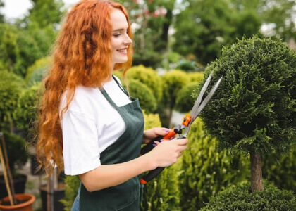 Landscape Tools & Supplies Chin Management