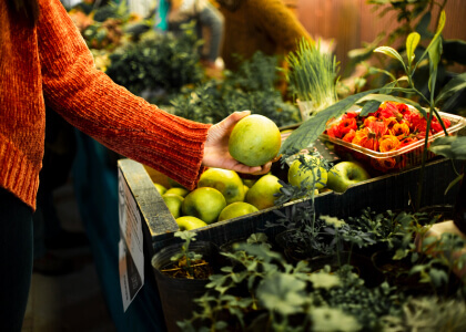 Inspecting Fresh Vegetable In Organic Farms