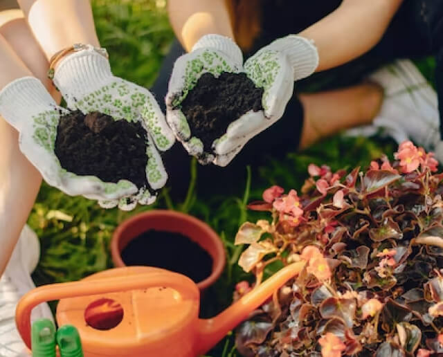 Lawn care