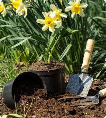 Garden Design