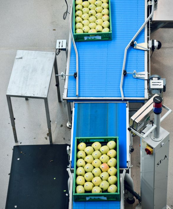 How to Streamline Your Business with Automation