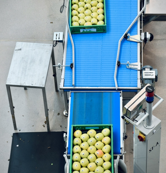 Effective Marketing Strategies for Small Businesses