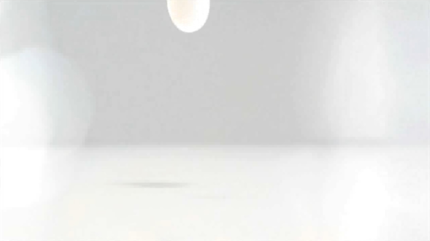 1b