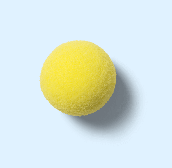 Dog ball
