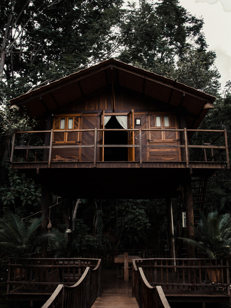 Guided tour of Treehotel