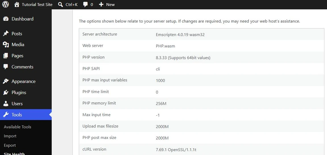 WordPress Site Health Info Server section listing PHP version 8.3.33, PHP time limit, PHP memory limit 256M, upload max filesize and post max size